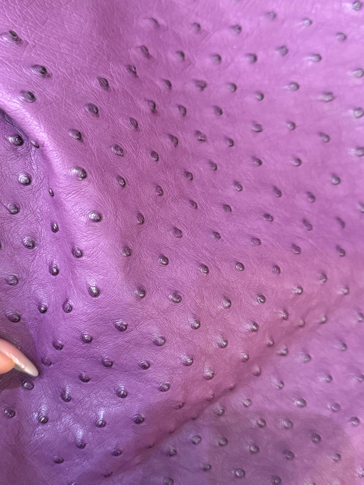 Ostch leather