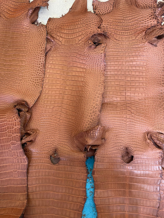 matte fauve barenia crocodile